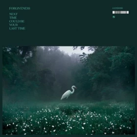 Forgiveness – Next Time Could Be Your Last Time (LP, Album, Limited Edition, Clear Vinyl)