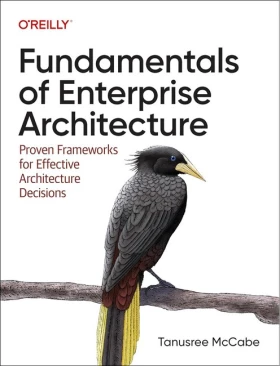 Fundamentals of Enterprise Architecture: Proven Frameworks for Effective Architecture Decisions 1st Edition
