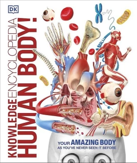 Knowledge Encyclopedia. Human Body!