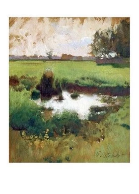 На лугах. Болітце