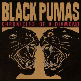 Black Pumas – Chronicles Of A Diamond (LP, Album, Stereo, Clear Vinyl)