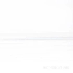 Foo Fighters – But Here We Are (LP, Album, Vinyl)