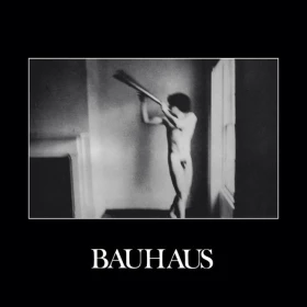 Bauhaus – In The Flat Field  (Reissue, Remastered, Bronze Vinyl)