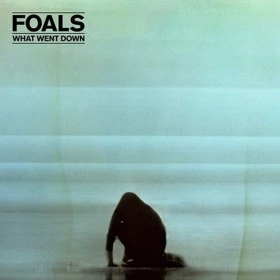 Foals – What Went Down (LP, Album, Stereo, 180g, Vinyl)