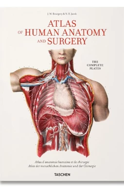 XL. Bourgery. Atlas of Human Anatomy and Surgery збільшена