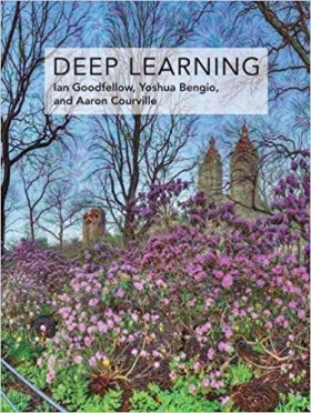 Deep Learning (Adaptive Computation and Machine Learning series)
