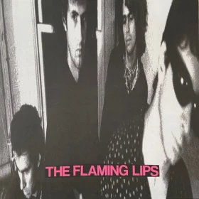 The Flaming Lips – In A Priest Driven Ambulance (LP, Album, Vinyl)