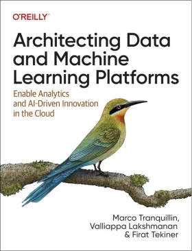 Architecting Data and Machine Learning Platforms: Enable Analytics and AI-Driven Innovation in the Cloud 1st Edition