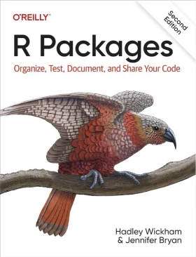 R Packages: Organize, Test, Document, and Share Your Code 2nd Edition - Базы данных