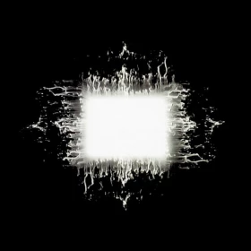 Tool – Anima (2LP, Album, Gatefold, Vinyl)