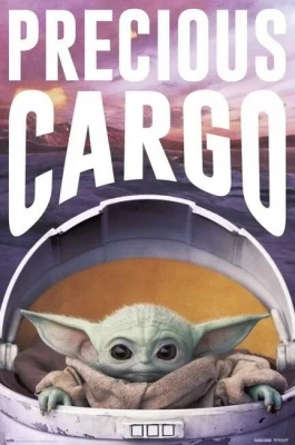 Star Wars The Mandalorian - Precious Cargo (Постер)