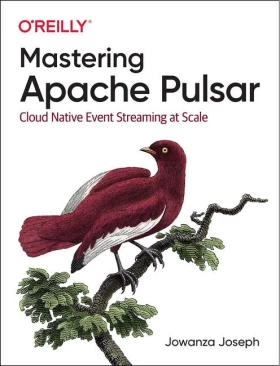 Mastering Apache Pulsar: Cloud Native Event Streaming at Scale. 1st Ed.
