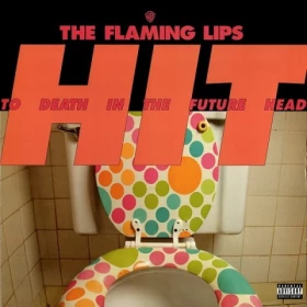 The Flaming Lips – Hit To Death In The Future Head (LP, Album, Vinyl)