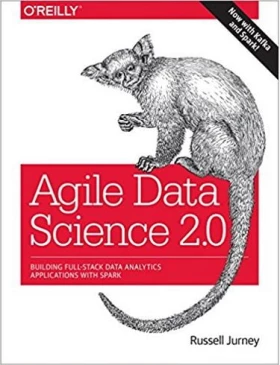 Agile Data Science 2.0: Building Full-Stack Data Analytics Applications with Spark 1st Edition - Разработка ПО, управление проектами