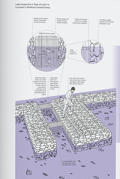 Julia Watson. Lo—TEK. Water. A Field Guide for TEKnology - фото 5