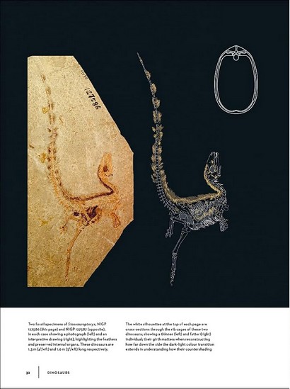 Dinosaurs: New Visions of a Lost World - фото 8