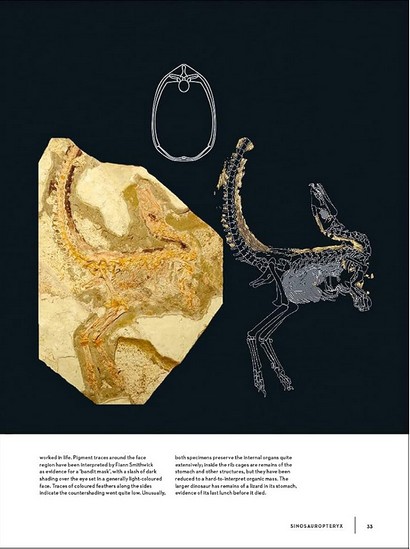 Dinosaurs: New Visions of a Lost World - фото 9