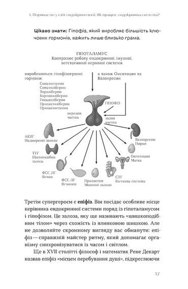 Магія гормонів. Невидимий диригент вашого життя - фото 10