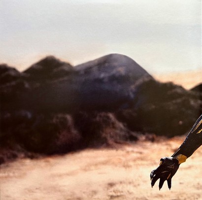 Various – Black Panther: Wakanda Forever - Music From And Inspired By (2LP, Compilation, Vinyl) - фото 2