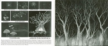 Radiohead – The King Of Limbs (CD, Album) - фото 3