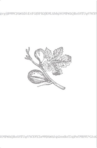 AVE MARIA - фото 4