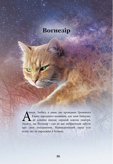 Коти-вояки. Герої кланів. Хроніки Зореклану - фото 4