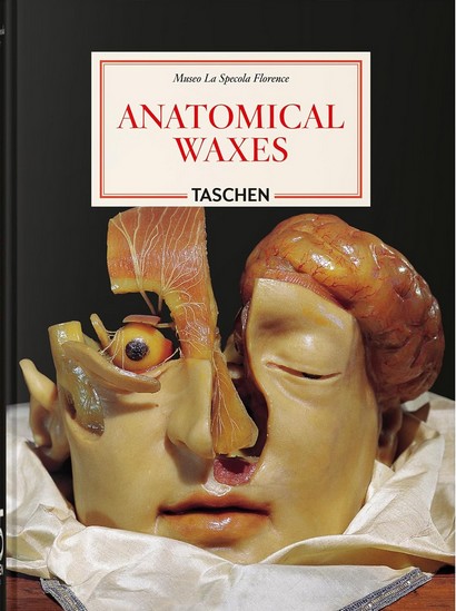 Anatomical Waxes. 45th Ed