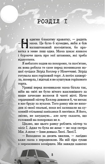Привіт, сусіде. Книга 6. Майстер загадок - фото 5