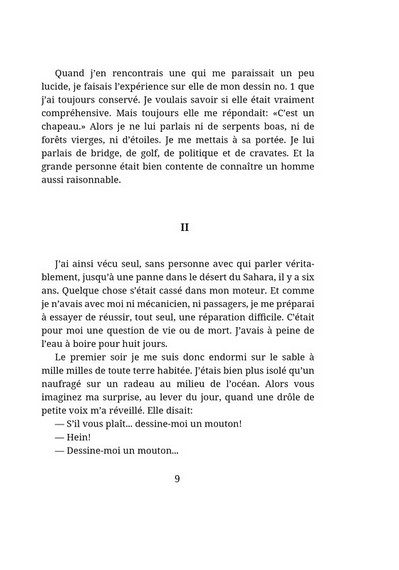 Le Petit Prince - фото 4