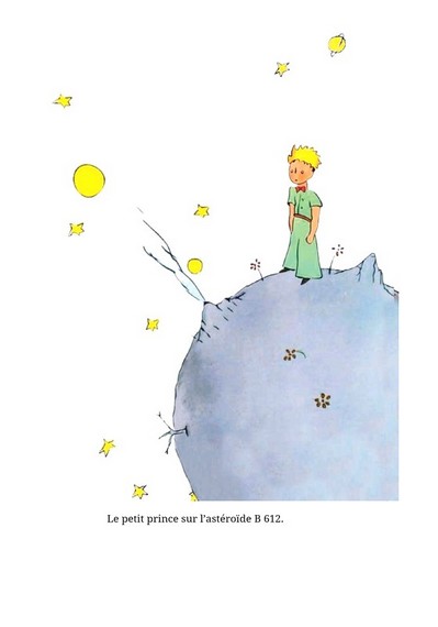 Le Petit Prince - фото 10