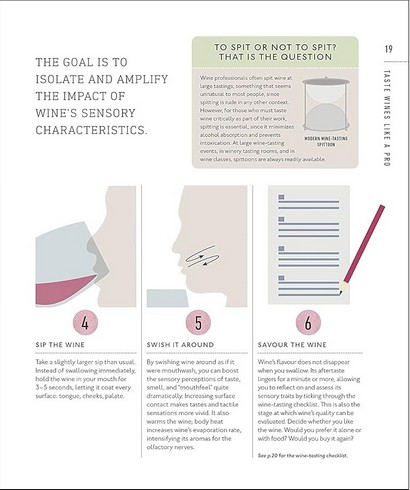 Wine A Tasting Course: From Grape to Glass - фото 4