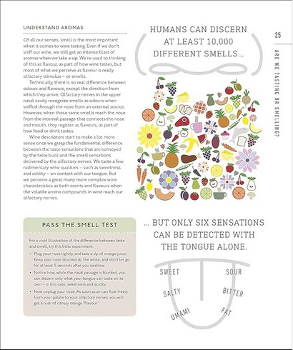 Wine A Tasting Course: From Grape to Glass - фото 6