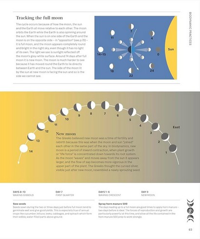 Biodynamic Gardening: Organic Growing Guided by the Moon for Bountiful Harvests - фото 8