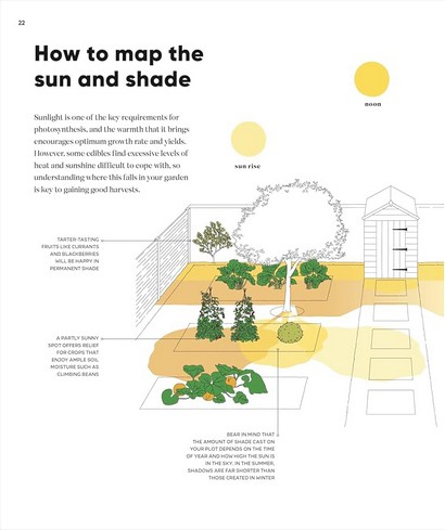RHS Grow Food Anywhere - фото 8