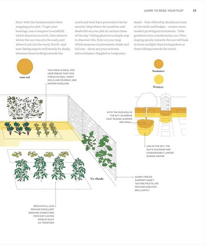RHS Grow Food Anywhere - фото 9