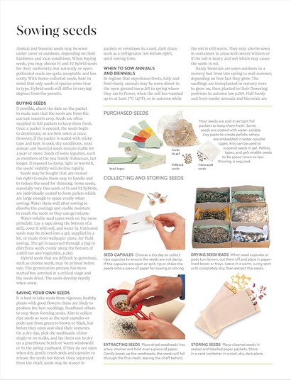 RHS Propagating Plants - фото 4