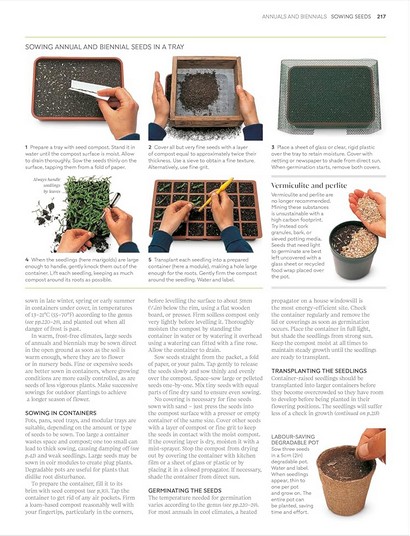 RHS Propagating Plants - фото 5