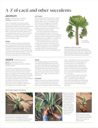 RHS Propagating Plants - фото 6