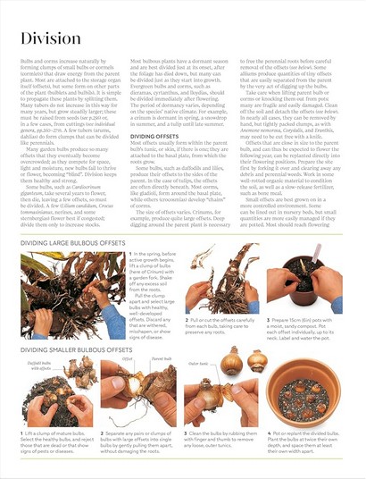 RHS Propagating Plants - фото 8