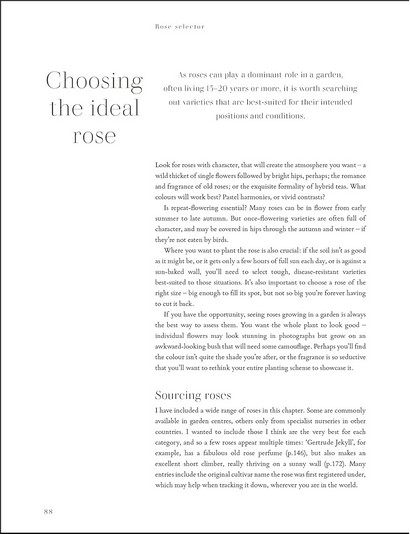 RHS Roses - фото 6