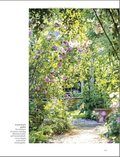 RHS Roses - фото 7