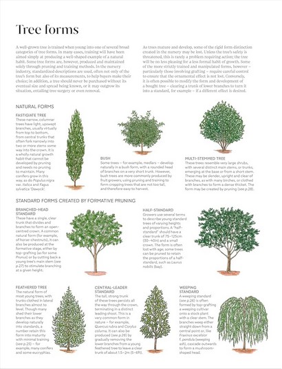 RHS Pruning and Training - фото 4