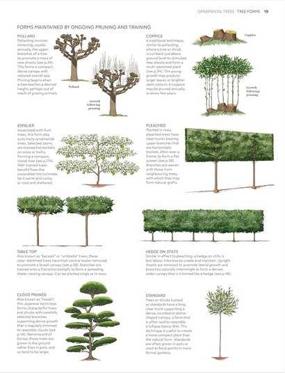 RHS Pruning and Training - фото 5