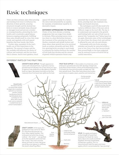 RHS Pruning and Training - фото 6