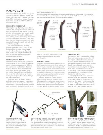 RHS Pruning and Training - фото 7