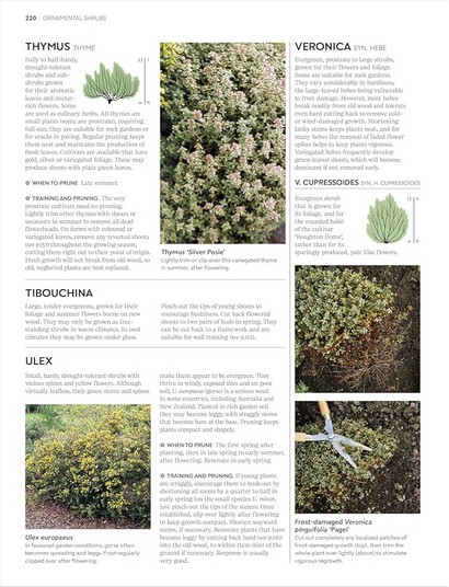 RHS Pruning and Training - фото 10