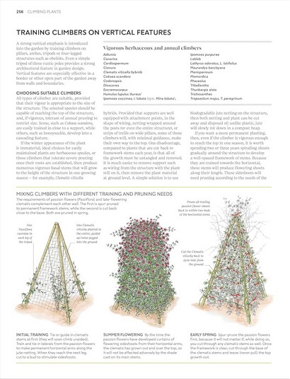 RHS Pruning and Training - фото 12
