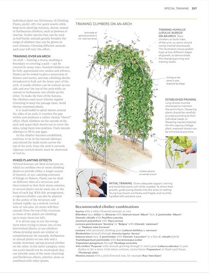 RHS Pruning and Training - фото 13