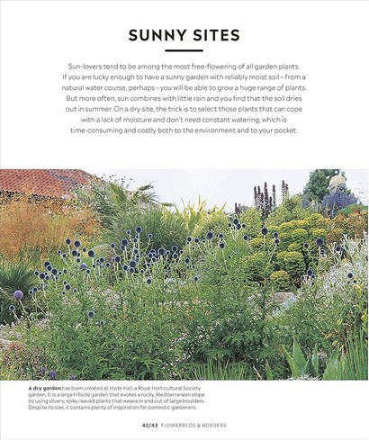 RHS How to Garden - фото 4