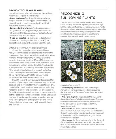 RHS How to Garden - фото 5